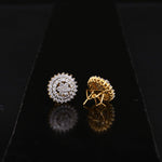 Load image into Gallery viewer, Zarqoon Luxe Studs
