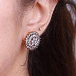 Load image into Gallery viewer, Zarqoon Luxe Studs
